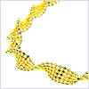 10K Two Tone Gold Womens Bracelet 8 1/2 Inches - 24diamonds.com