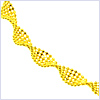 10K Yellow Gold Womens Ankle Bracelet 10 3/4 Inches - 24diamonds.com