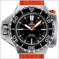 Omega Seamaster PloProf 1200M Mens Watch 224.32.55.21.01.002 - 24diamonds.com