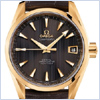 Omega Aqua Terra Mens Watch 231.53.39.21.06.002 - 24diamonds.com