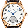 Omega Seamaster Aqua Terra XXL Mens Watch 231.53.49.10.04.002 - 24diamonds.com