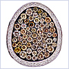 14K White Gold 1.98 ct Natural Fancy Diamond Womens Ring - 24diamonds.com