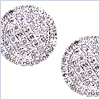 14K White Gold 0.80 ct Diamond Womens Round Stud Earrings - 24diamonds.com