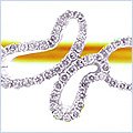14K Yellow Gold 0.66 ct Diamond Butterfly Bangle Bracelet 8 Inches - 24diamonds.com