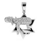 14K White Gold 0.50 ct Diamond Star of David Chai Pendant
