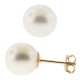 14K Yellow Gold Cultured Pearl Womens Stud Earrings 3-9 mm