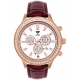 Aqua Master Rio 2.45 ct Diamond Mens Brown Leather Watch