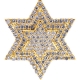 10K Yellow Gold 0.68 ct Diamond Star of David Jewish Pendant