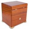 Rapport Perpetua II Satin Walnut Single Watch Winder Box W111