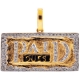 10K Yellow Gold 0.25 ct Diamond Paid Dues Medallion Pendant