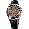 116515-LNBR Rolex Daytona Everose Gold Chocolate Dial Leather Strap Watch