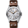 IWC Pilots Automatic Platinum Steel Watches for Father and Son
